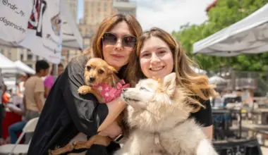 Petco Love’s Adoption Block Party in NYC: Meet your new best friend
