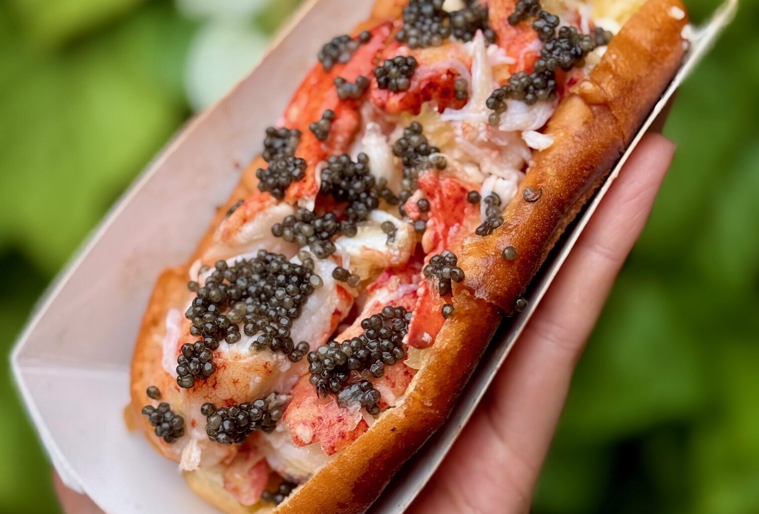 Sailor & Siren Lobster Roll Pop-Up Finds Permanent Home in Greenpoint