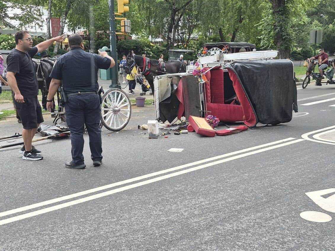 Horse carriage drivers’ union commits to a ‘Vision Zero’ for industry after teen’s death