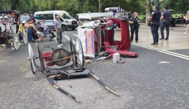 Teenage tourist dies as horse-drawn carriage overturns in NYC’s Central Park – The Mercury News