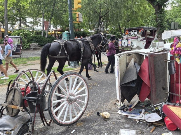 The aftermath of an out-of-control horse-drawn carriage is pictured in Central Park on Wednesday, June 17, 2026. (Obtained by Daily News)