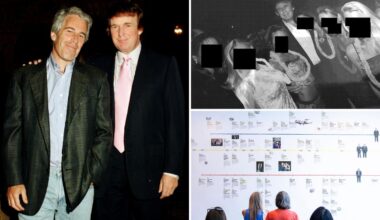 Jeffrey Epstein was obsessed with trying to take down Trump before suicide: report