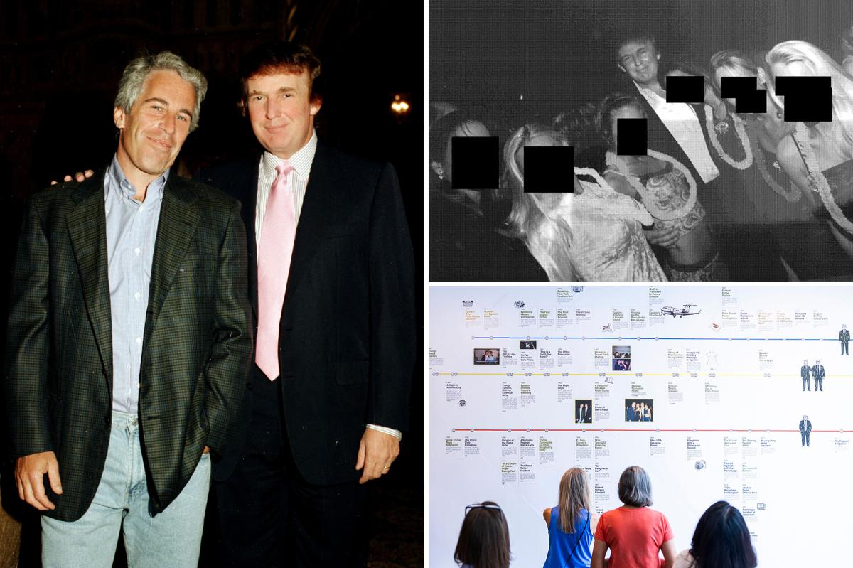 Jeffrey Epstein was obsessed with trying to take down Trump before suicide: report