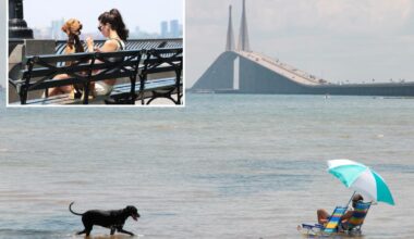 That's ruff! New York City ranks low on the pet-friendly scale