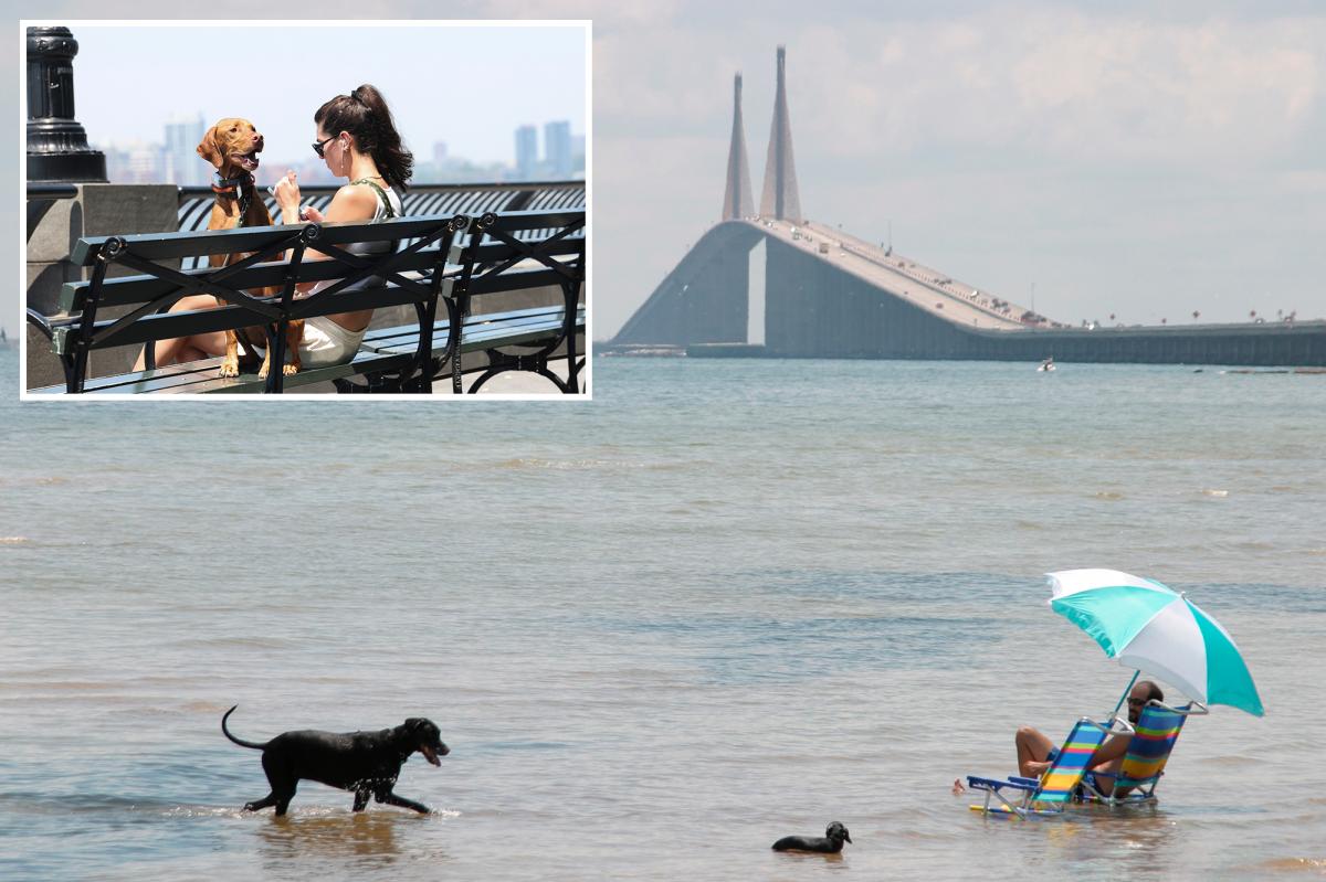 That's ruff! New York City ranks low on the pet-friendly scale