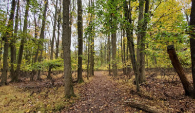 Situated On Staten Island Is An Underrated Wildlife Site With Woodland Hiking Trails And Interactive Exhibits