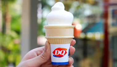 This Discontinued Dairy Queen Ice Cream Topping Is A Retro Delicacy That No One Seems To Eat Anymore
