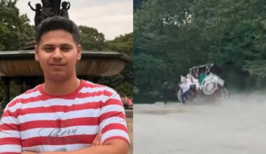 Romanch Mahajan Video: Video Shows Moment Horse Bolted At New York's Central Park, Killing Indian Tourist