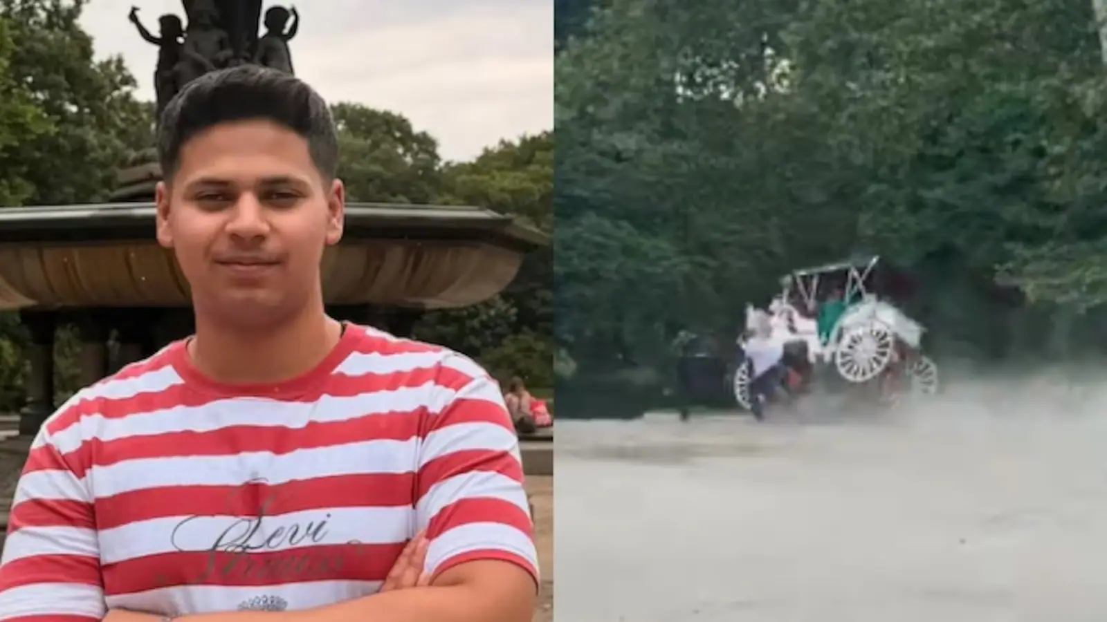 Romanch Mahajan Video: Video Shows Moment Horse Bolted At New York's Central Park, Killing Indian Tourist