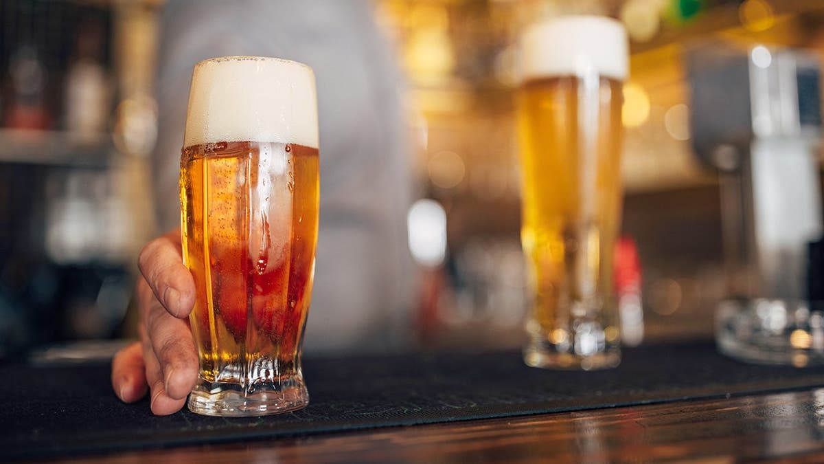 A man holds a lager beer on a bar.