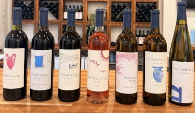 Melted Wings Winery Opens This Week in Old Brooklyn