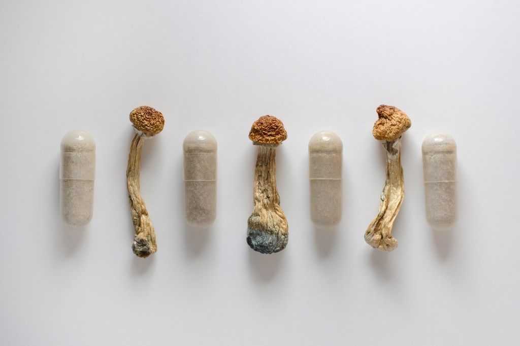 Dry psilocybin mushrooms and capsules with powdered psilocybin on a white background