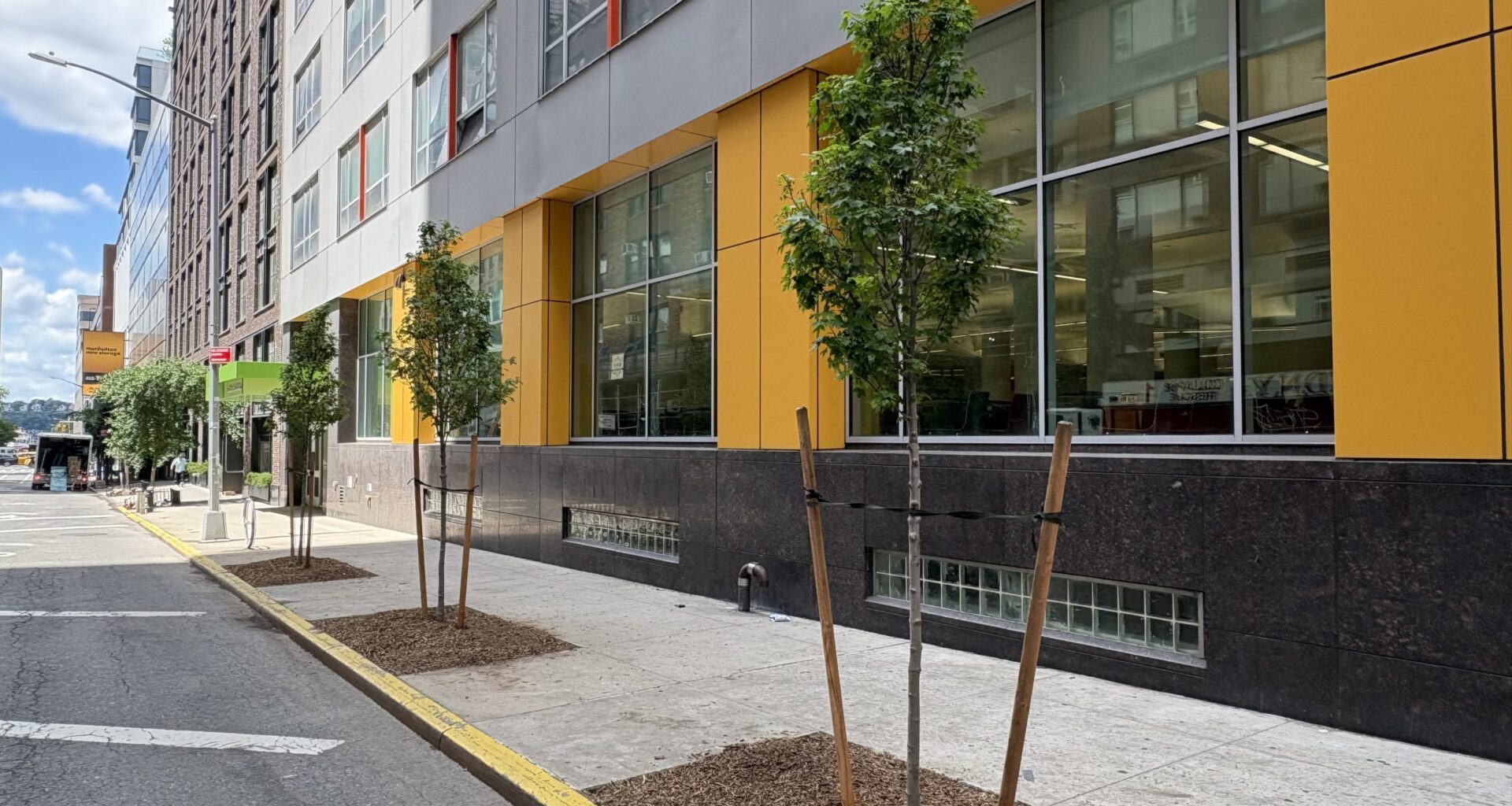 Branching Out! Hell’s Kitchen Leads Manhattan in New Tree Plantings This Year