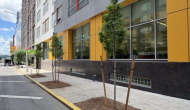 Branching Out! Hell’s Kitchen Leads Manhattan in New Tree Plantings This Year