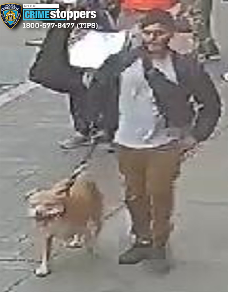 A good Samaritan was pepper-sprayed and slashed this week when he got in the middle of a Harlem “dog fight” – defending one dog walker against two violent others, cops and sources said.