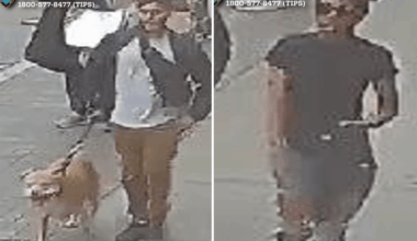 Good Samaritan pepper-sprayed, slashed by violent pair after intervening in NYC 'dog fight': cops