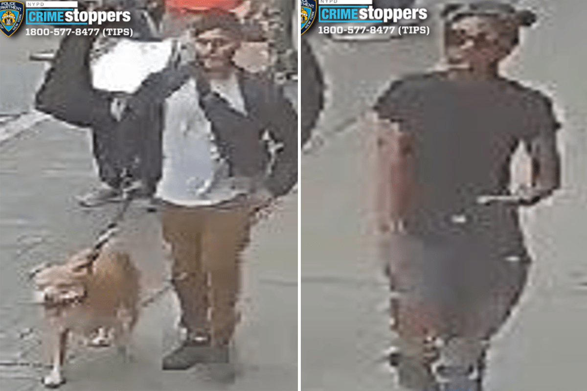 Good Samaritan pepper-sprayed, slashed by violent pair after intervening in NYC 'dog fight': cops