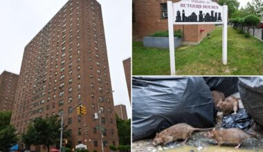 2 kids bitten, injured by mice in NYCHA apartment: lawsuit