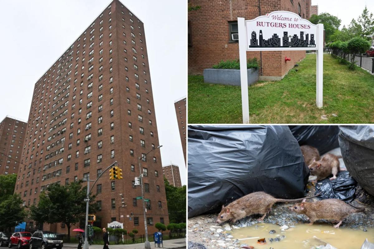 2 kids bitten, injured by mice in NYCHA apartment: lawsuit