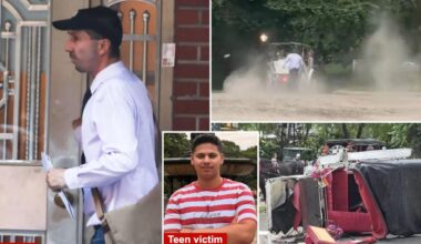 NYC carriage driver 'devastated' 18-year-old tourist dies -- union halts rides Central Park