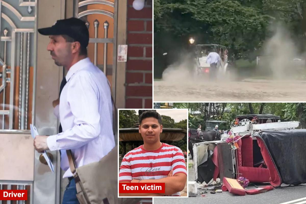 NYC carriage driver 'devastated' 18-year-old tourist dies -- union halts rides Central Park