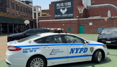 Rotting body found in NYC school chimney after putrid odor leads to call to exterminator