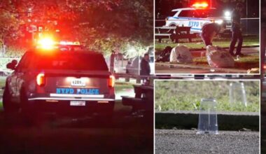 4 wounded, including 2 teens, in wild shootout at NYC park