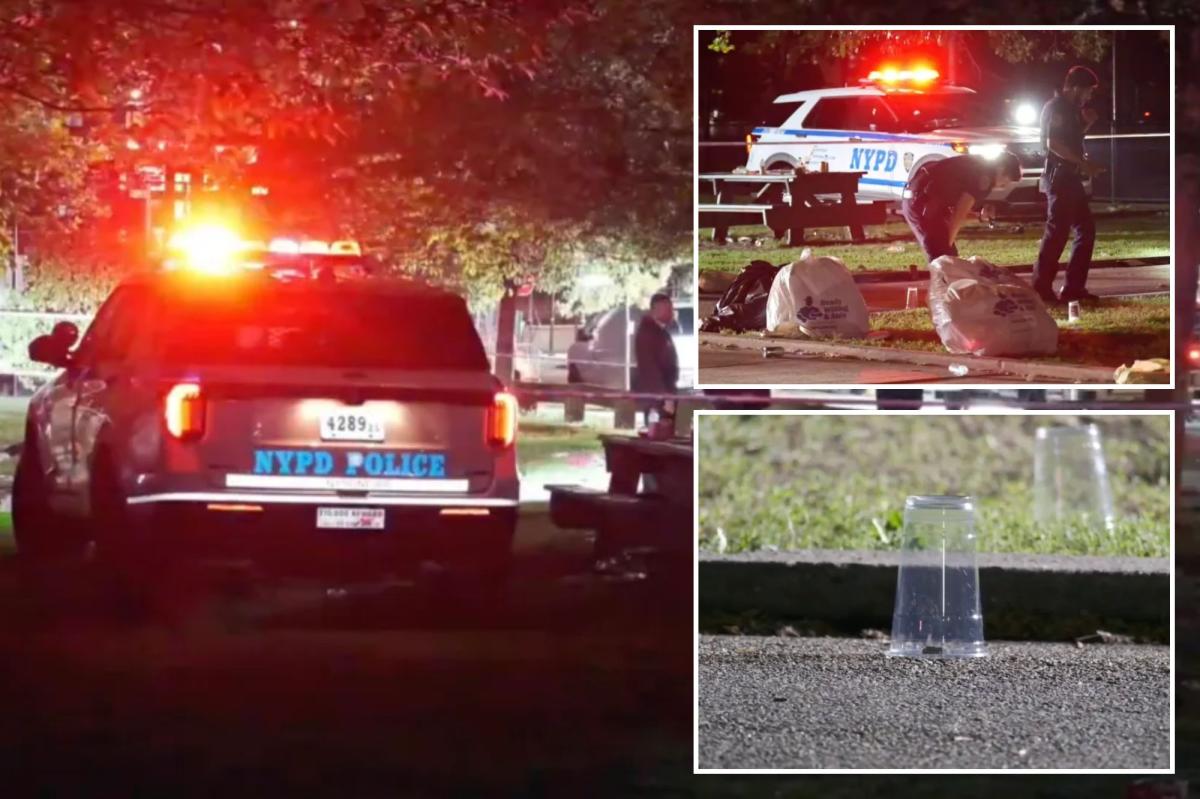 4 wounded, including 2 teens, in wild shootout at NYC park