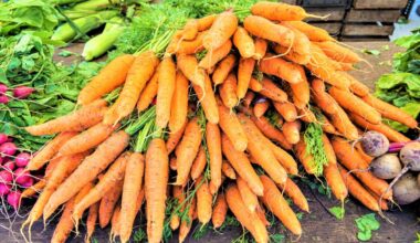 Farmers Markets Return to Two Brooklyn Hospitals