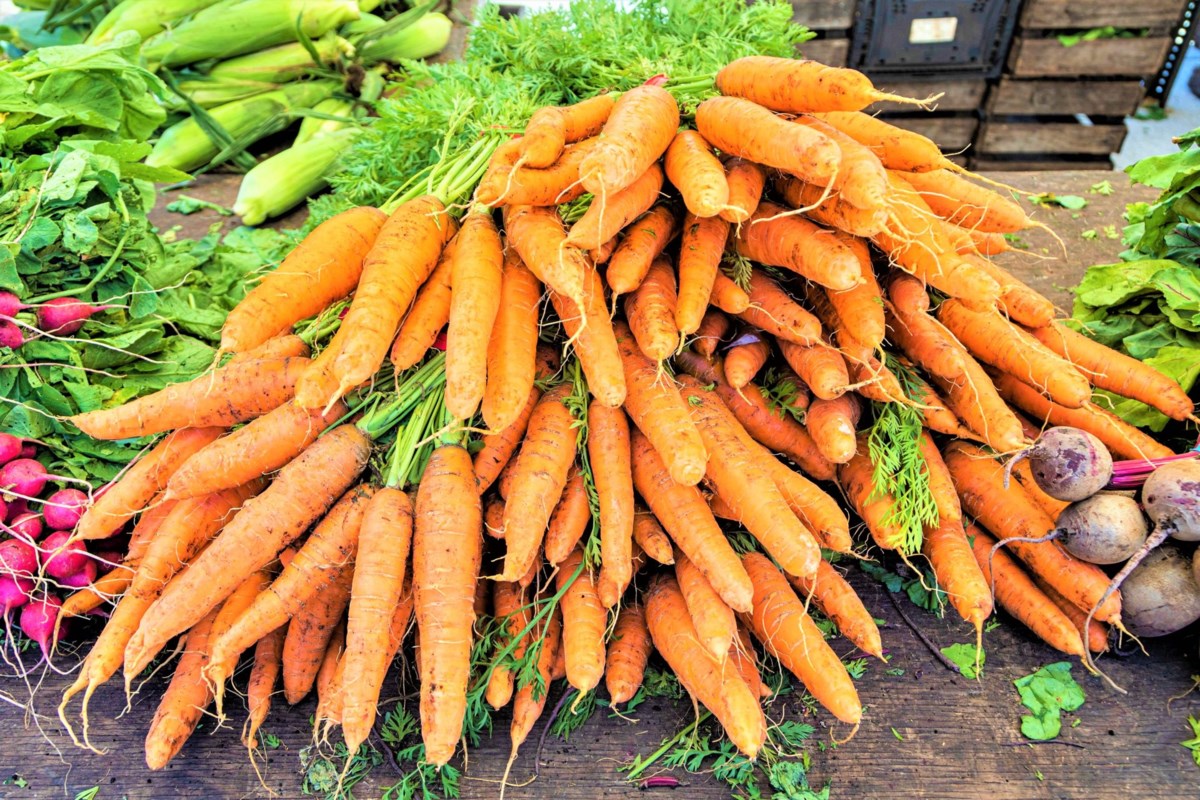 Farmers Markets Return to Two Brooklyn Hospitals