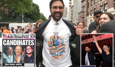 Exclusive | Dem leader, experts admit what fueled NYS socialist surge -