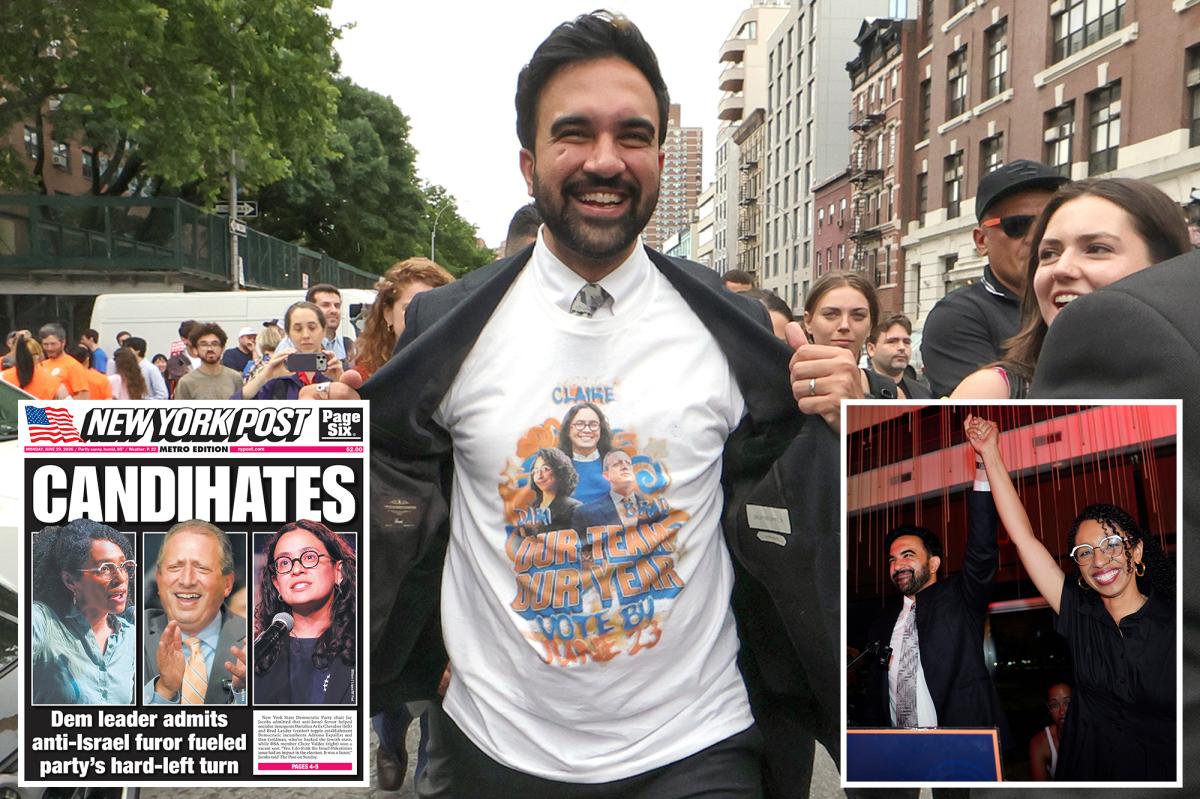 Exclusive | Dem leader, experts admit what fueled NYS socialist surge -