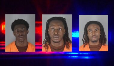 3 men charged after gunfire erupts at Brooklyn Park picnic