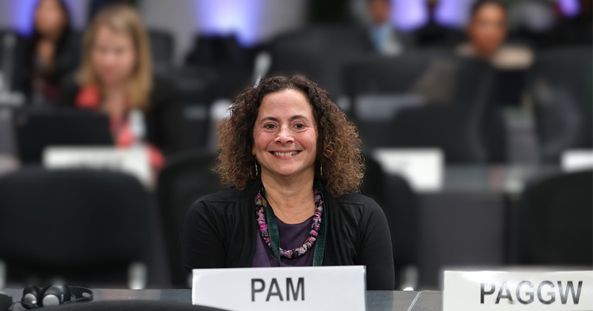 Manhattan University Professor Receives Prestigious Award from the National Model UN Conference