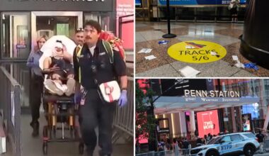 Homeless maniac arrested in bloody Penn Station rampage