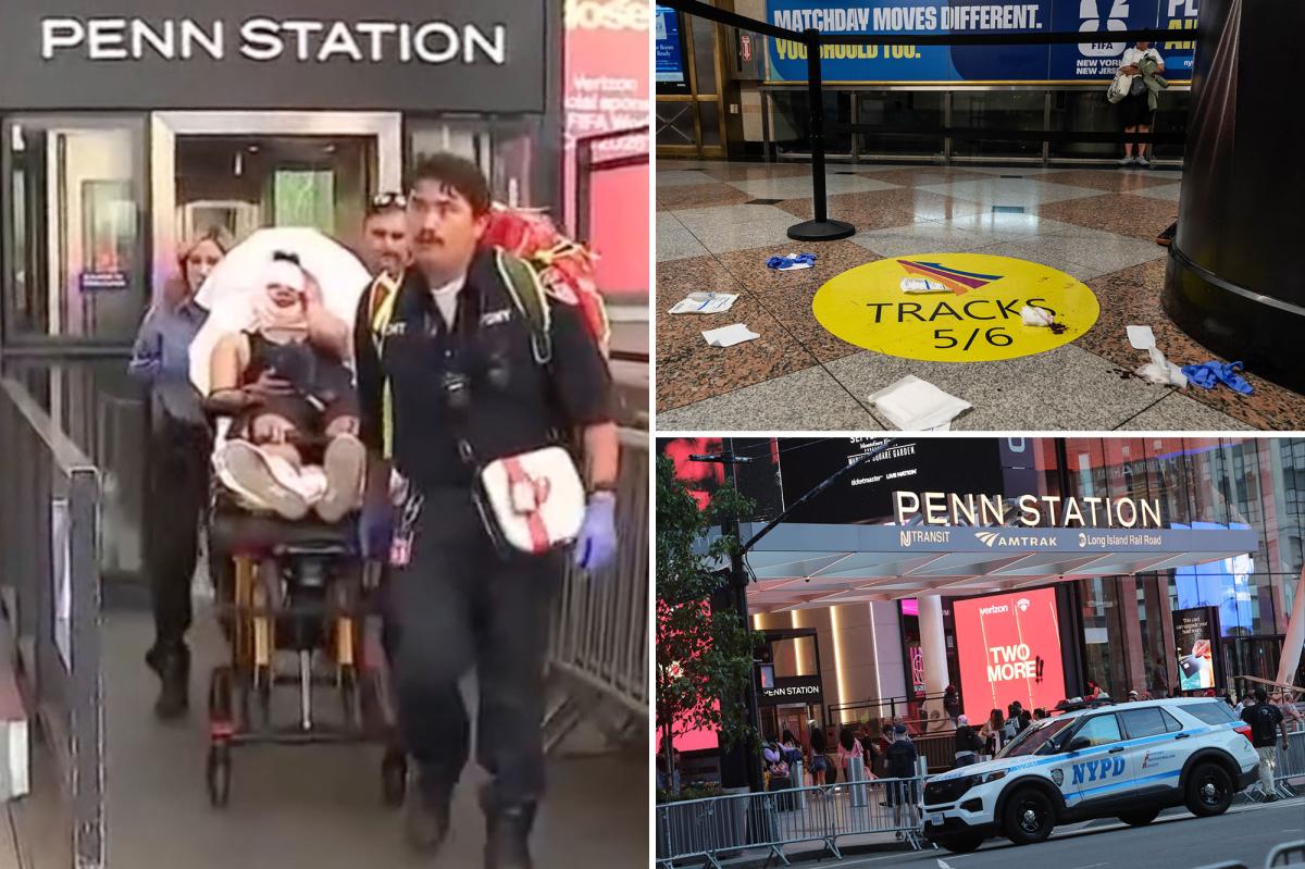 Homeless maniac arrested in bloody Penn Station rampage