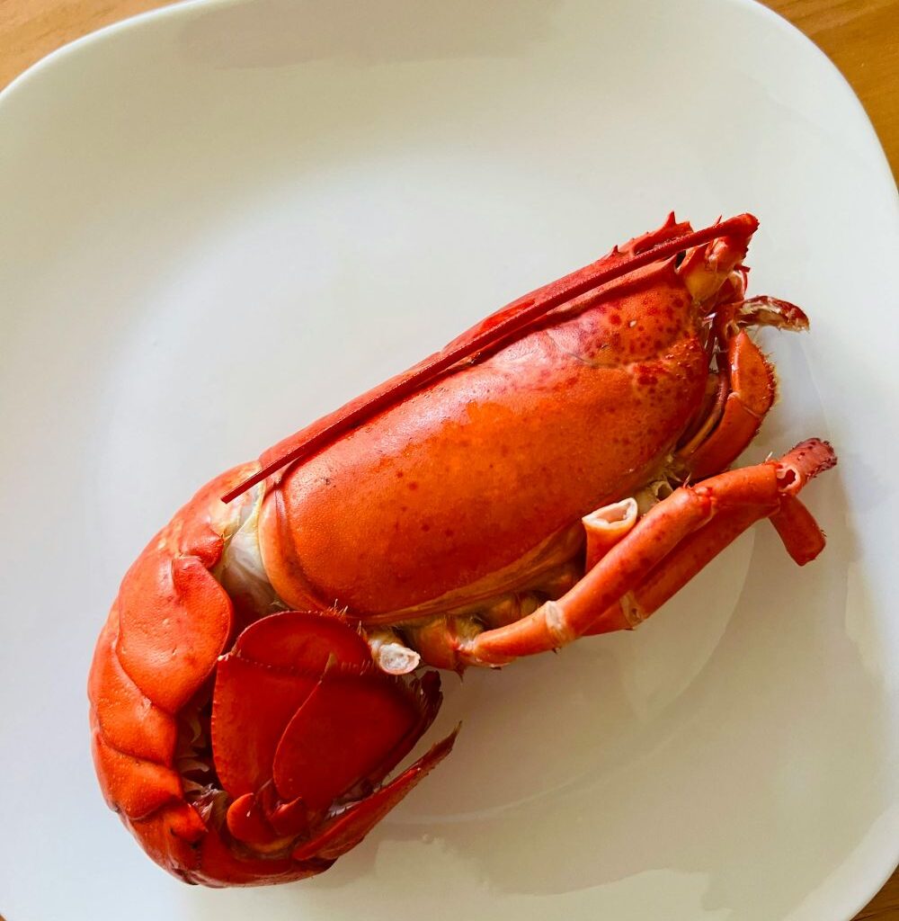 Red Lobster Leaves Manhattan After 23 Years