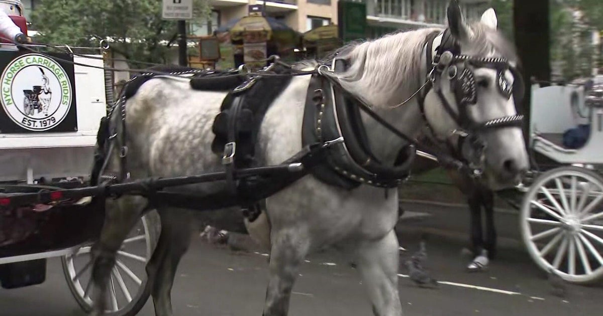Horse carriage rides resume in Central Park week after tourist died in collision