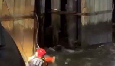 Firefighter Awarded Medal For Heroic East River Rescue