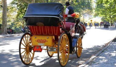 Teenager in critical condition after horse-drawn carriage overturns in NYC's Central Park
