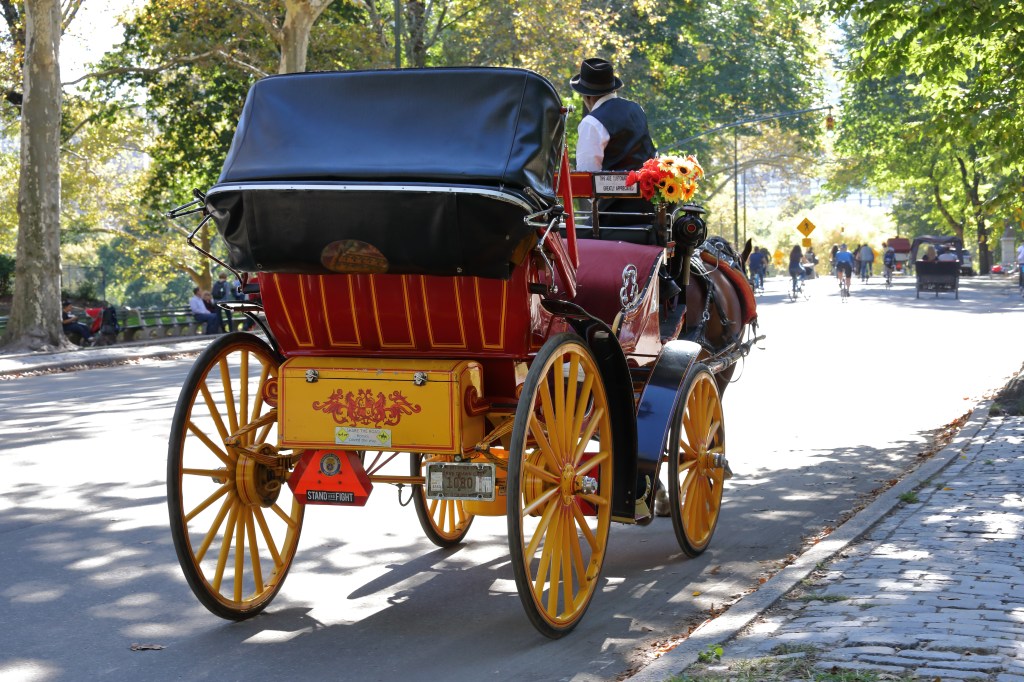 Teenager in critical condition after horse-drawn carriage overturns in NYC's Central Park