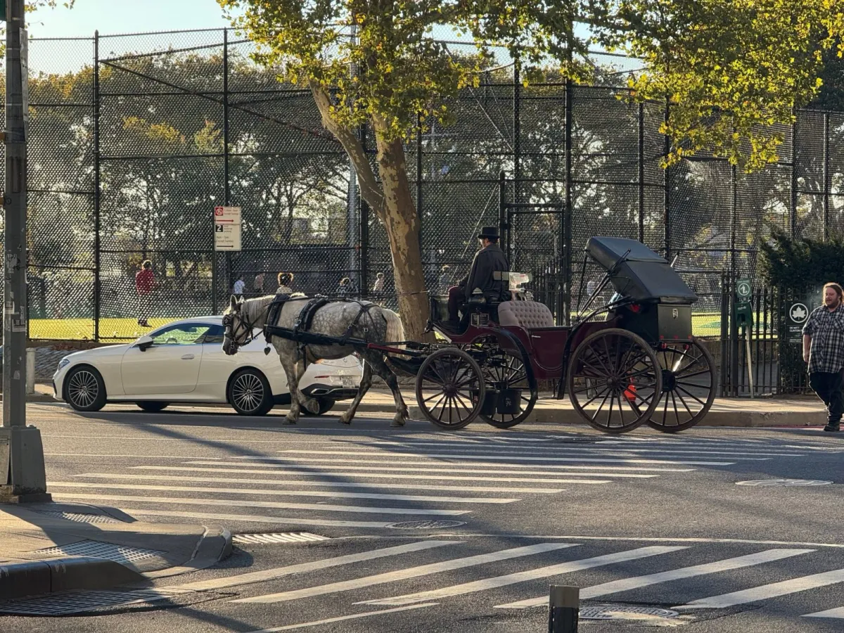 Petition: NYC Horse Drawn Carriage Crash Demands Urgent Reform – One Green Planet