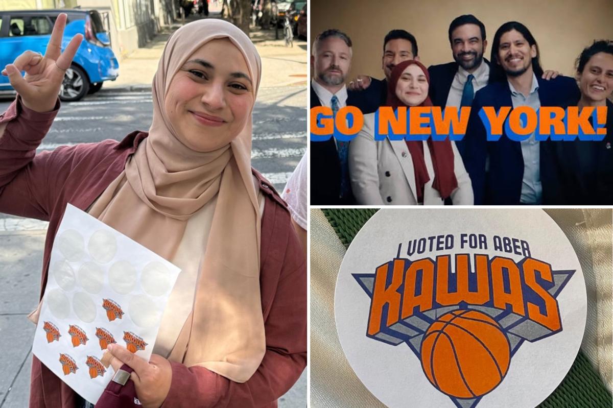 Knicks slap Mamdani-backed NY Senate candidate Aber Kawas with ‘cease and desist’ letter over campaign ad: 'False advertising'