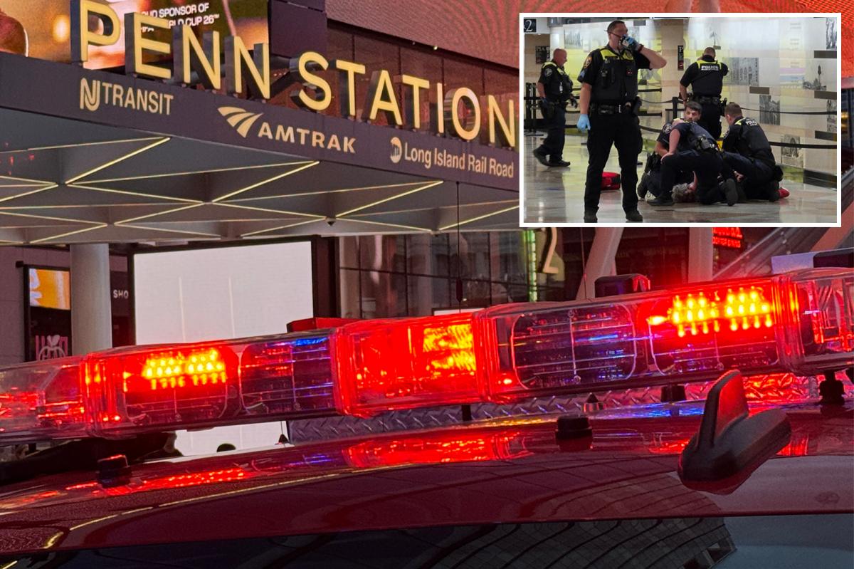 5 stabbed in bloody attack inside Penn Station -- suspect in custody