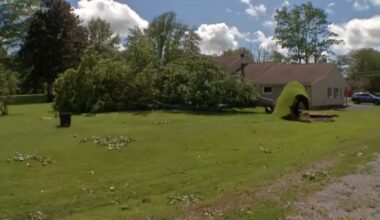 Storm damage in Parma