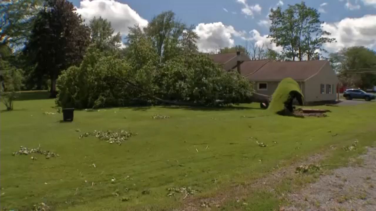 Storm damage in Parma
