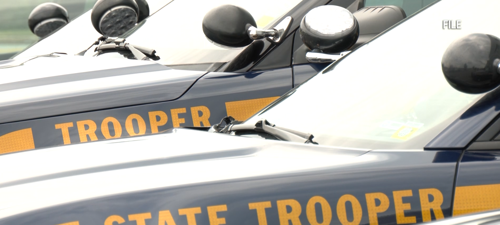Woman sentenced for assault on New York State Trooper