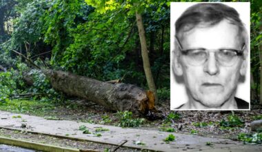 Retired statistician who loved long walks killed by falling tree in Queens park during storm