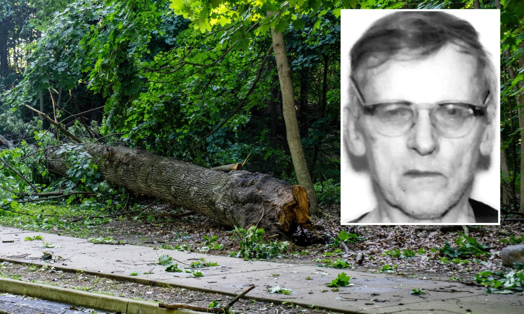 Retired statistician who loved long walks killed by falling tree in Queens park during storm