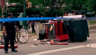 New York mayor, other leaders push to end horse carriage industry after young Indian man's death